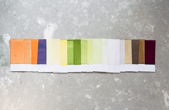 Research on the diversity of vegetable colors for ‘Cooking and Constructing’ at Plaform 21 - Amsterdam